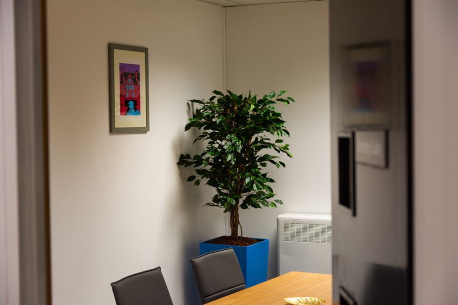A branded office space featuring a table, chairs, and a plant.