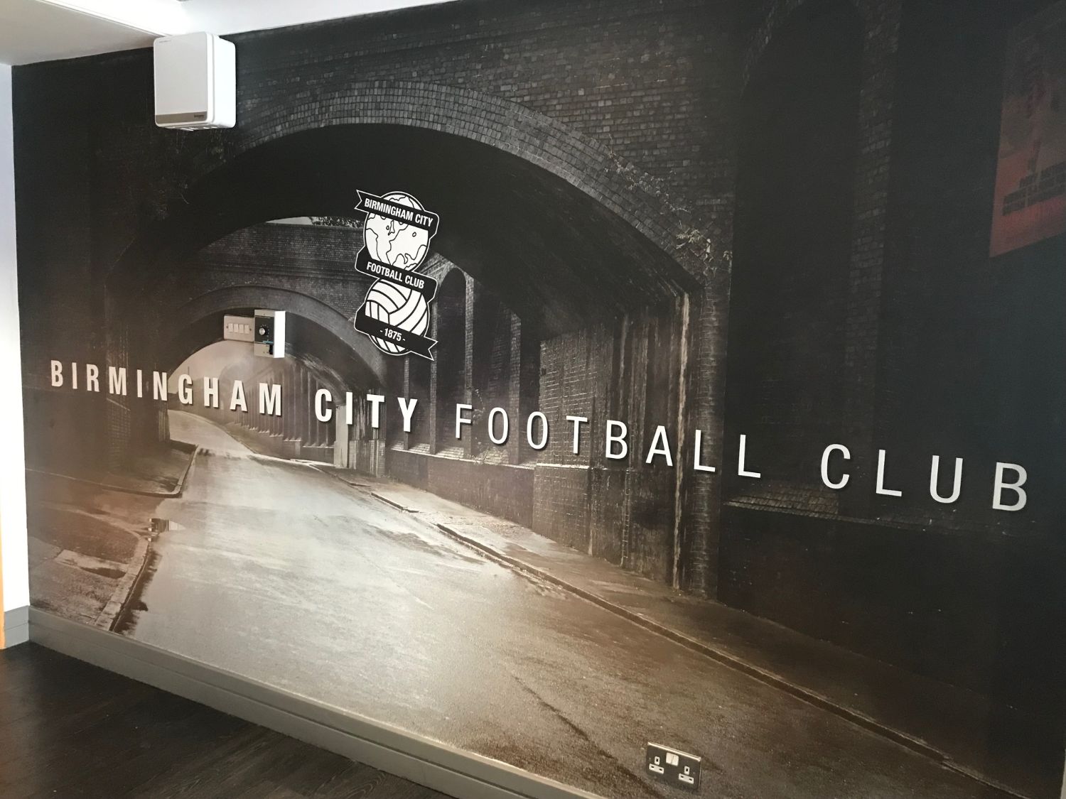 Birmingham city football club wall mural for office branding.