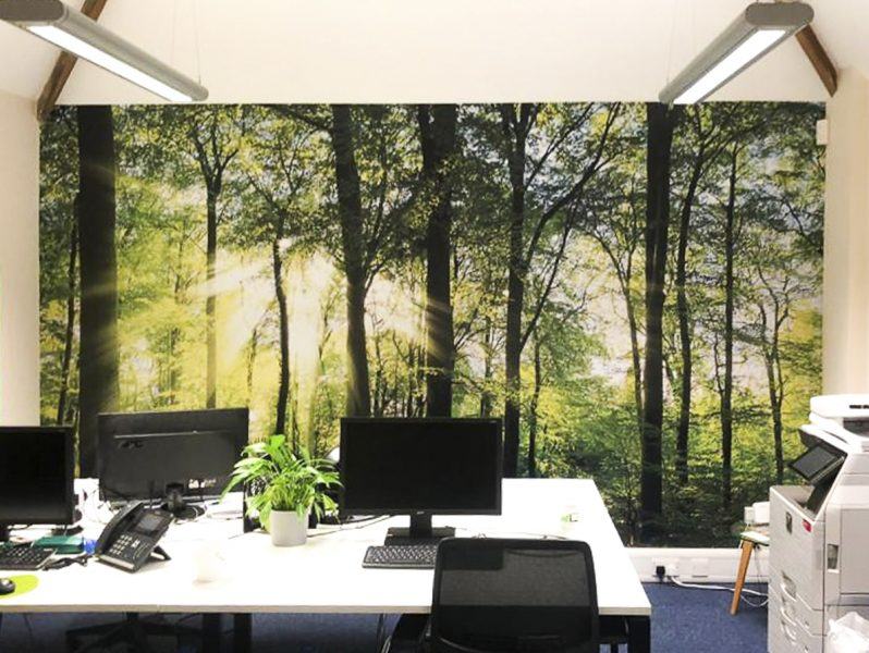 An office with a large wall mural of a forest.